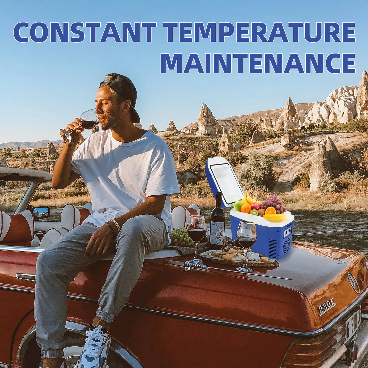 IceBlue Portable Mini Fridge Dual Use Home Car Cooler