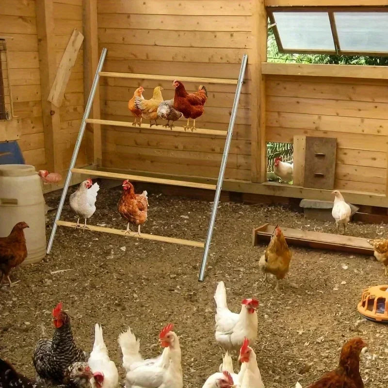 Chicken Coop Roosting Perch Essentials:Perfect for Backyard Poultry, Easy Installation for Chickens (55' L x 40' W)